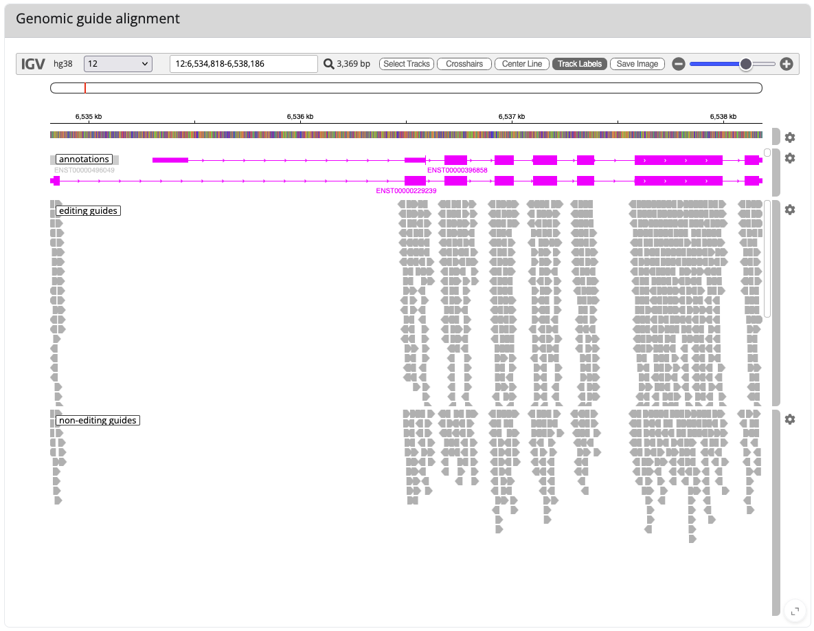 The igvjs view for GAPDH